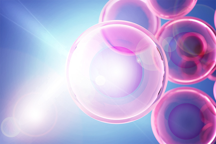Blog header image